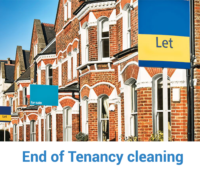 Cleanmate End tenancy